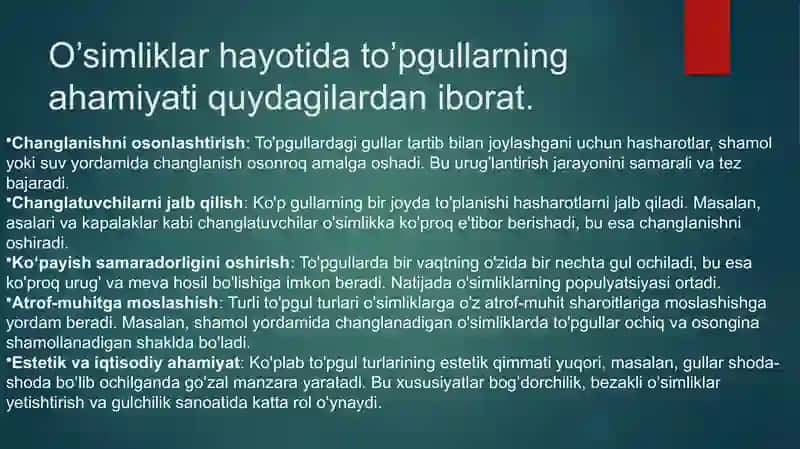 To'pgullar 3