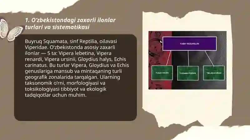 Oʻzbekistonning zaxarli ilonlari ularning tarqalishi va ahamiyati 3