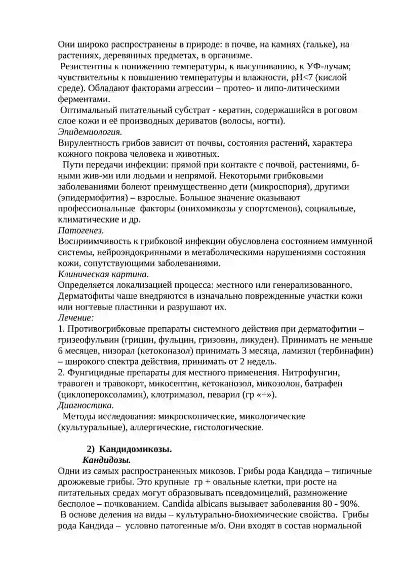 ГРИБЫ И ПРОСТЕЙШИЕ: ОСОБЕННОСТИ МОРФОЛОГИИ И ЖИЗНЕДЕЯТЕЛЬНОСТИ 3