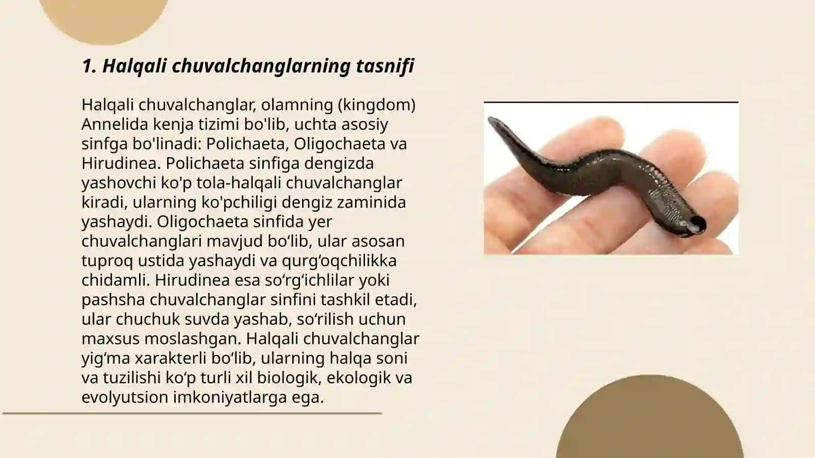 Halqali chuvalchanglar tipi 3