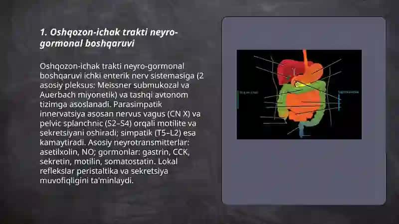 Oshqozon-ichak traktiga ta'siri va hazm jarayonining boshqaruv fiziologiyasi 3