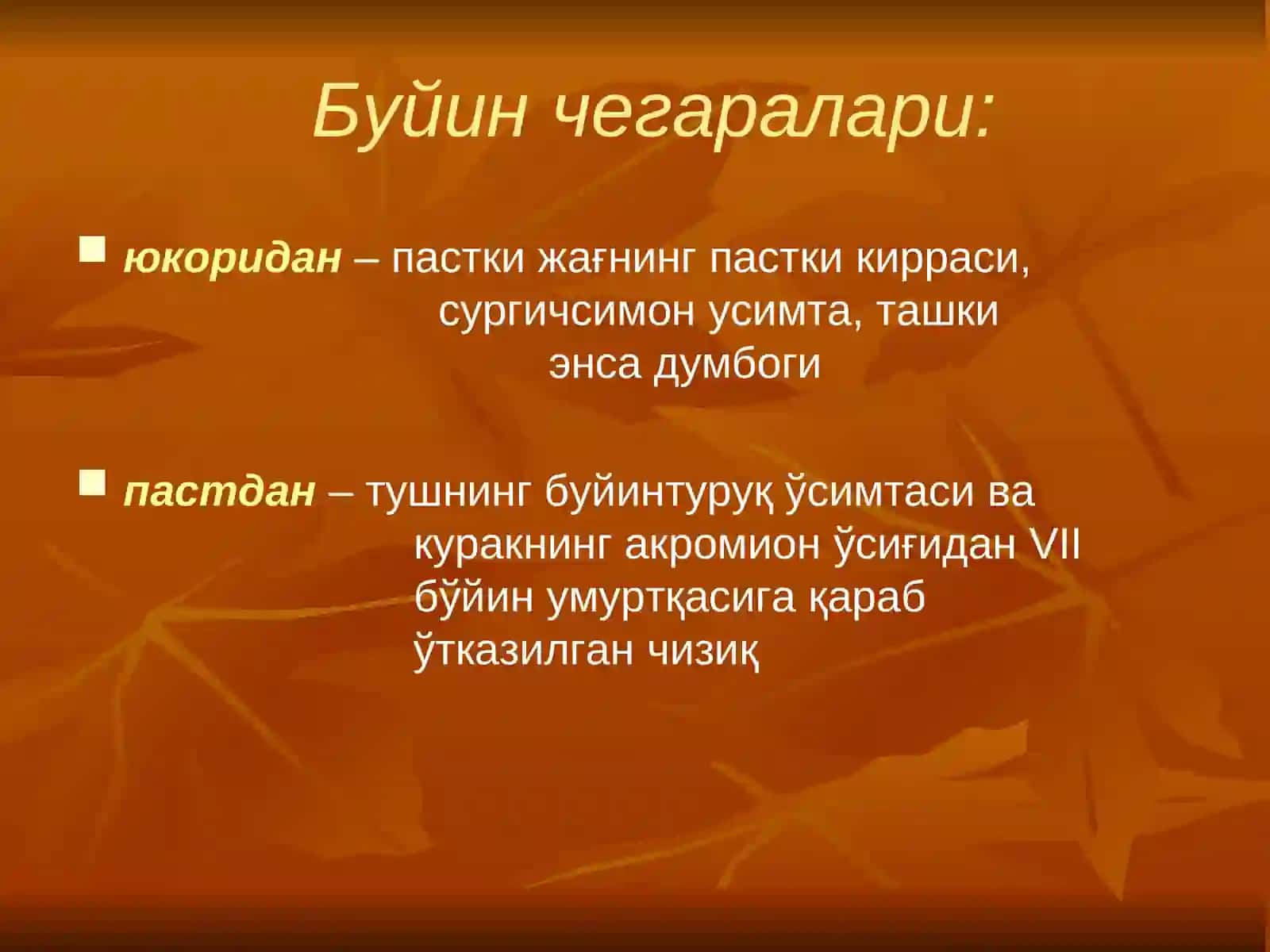БЎЙИННИНГ ЖАРРОҲЛИК АНАТОМИЯСИ ВА АСОСИЙ ОПЕРАЦИЯЛАР 3