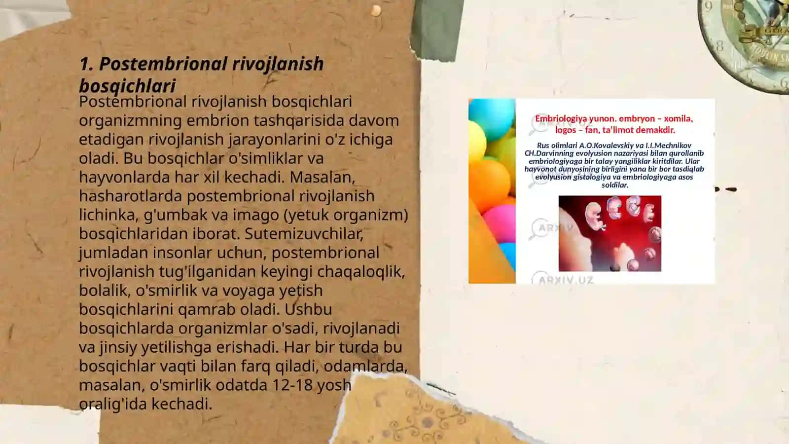 Postembrional rivojlanish 3