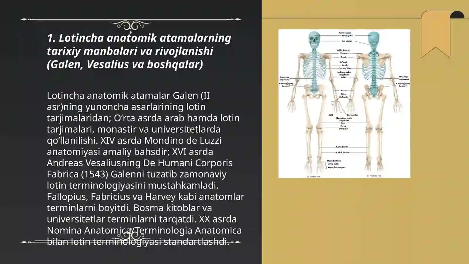 Klinik atamashunoslikda yunon tilining oʻrni 3