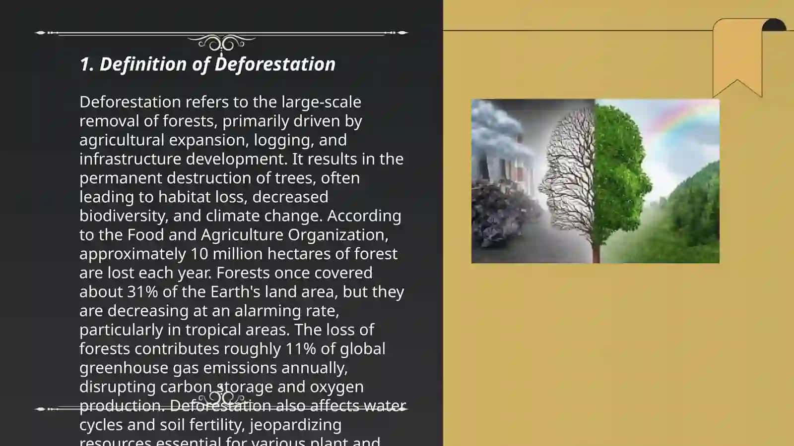 Deforestation mavzusida taqdimot 3