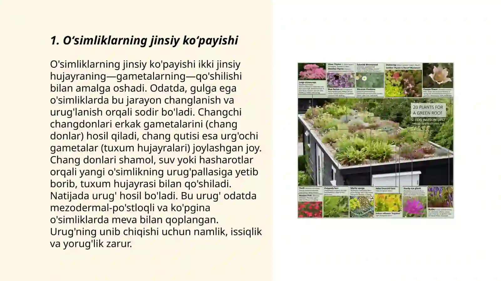 Oʻsimliklarning koʻpayish fiziologiyasi 3