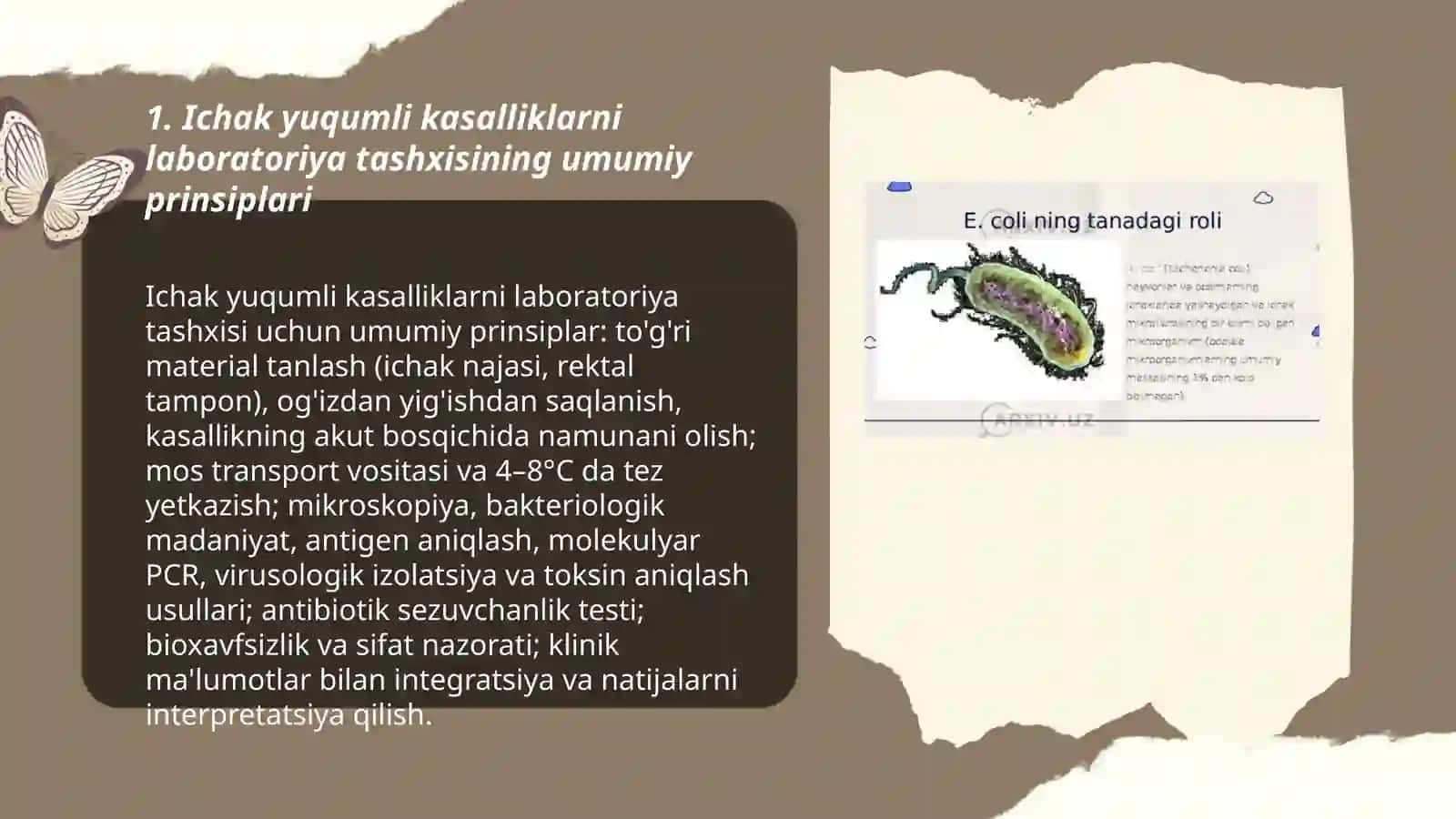 Ichak yuqumli kasallik qo’zgatuvchilari:esherixiozlar,ich burug’ kasalliklarini laboratoriya tashxisi 3