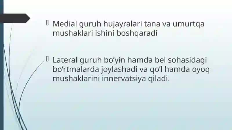 Orqa miyaning harakatlantiruvchi neyronlarning turlari, ularning morfofunksional xususiyatlari 3