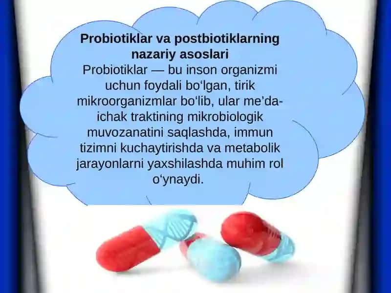 Probiotiklar va postbiotiklar asosida yangi avlod fermentatsiya texnologiyalari 3