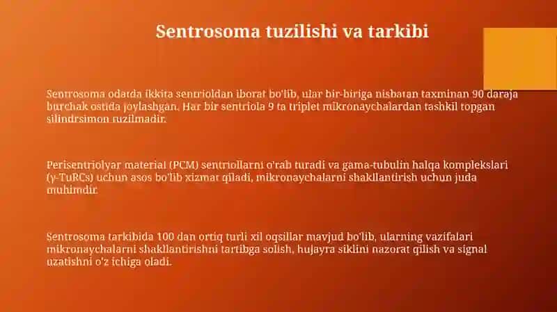 Sentrosoma va Mikronaychalar Tuzilishi 3