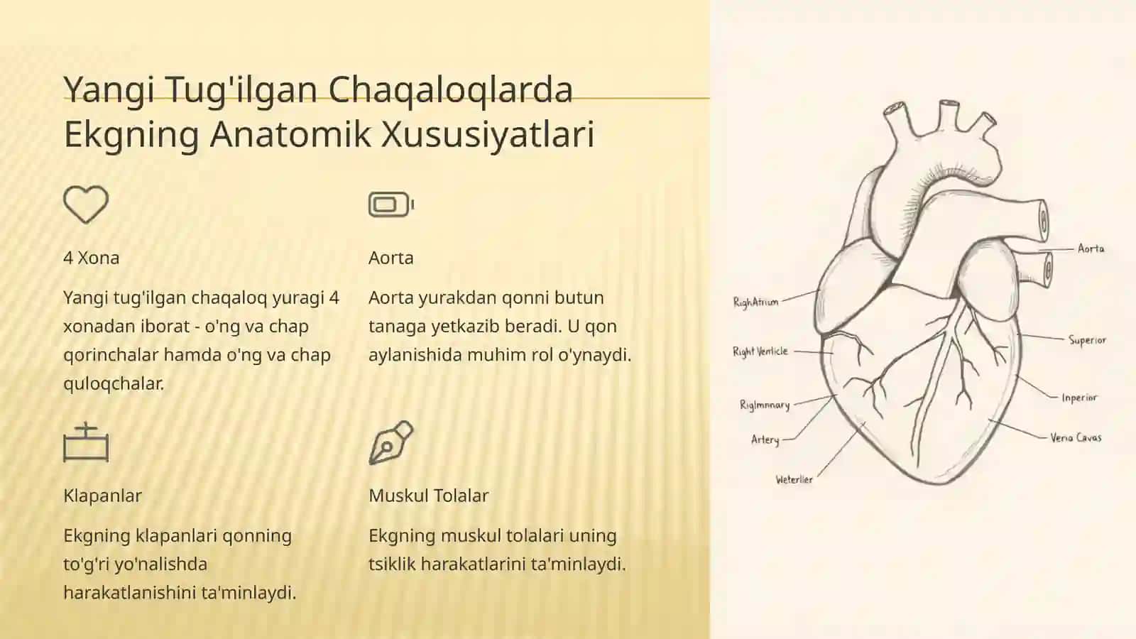 Yangi Tug'ilgan Chaqaloqlarda Ekgning Rivojlanishi 3