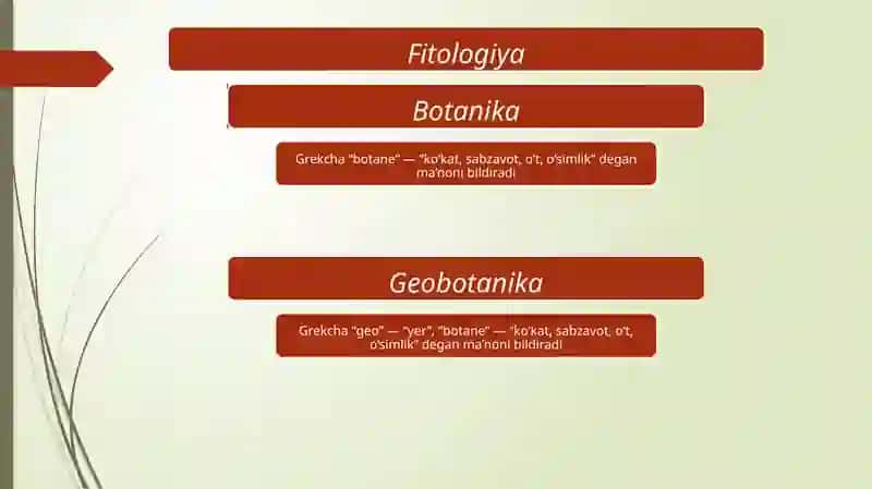 O‘simlik hujayratuzilishi 3