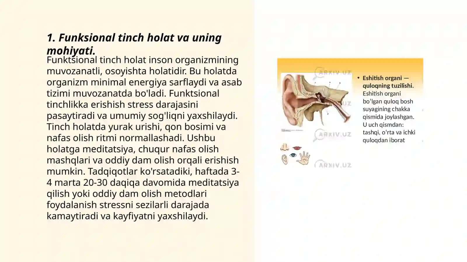 Funktsional tinch holat, tibbiyotda organning funksional elementi 3