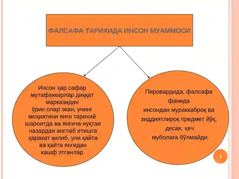 ФАЛСАФИЙ АНТРОПОЛОГИЯ – ИНСОН ҲАКИДАГИ ТАЪЛИМОТ 3