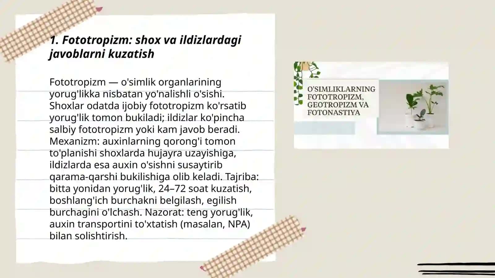 Òsimliklarda fototropizm, fotonastiya va geotropizm hodisalarini kuzatish 3