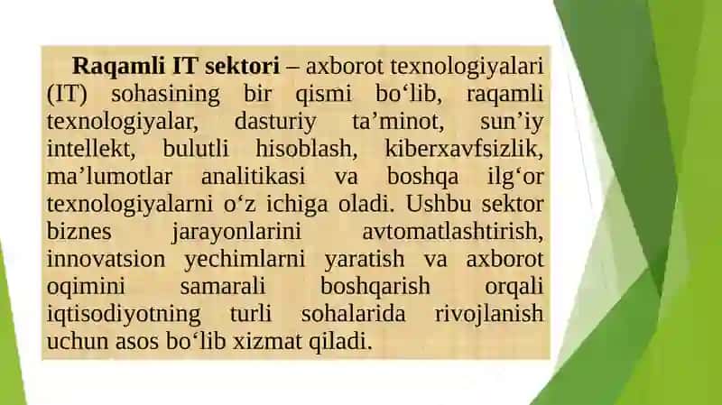 Raqamli iqtisodiyotda IT sektori 3