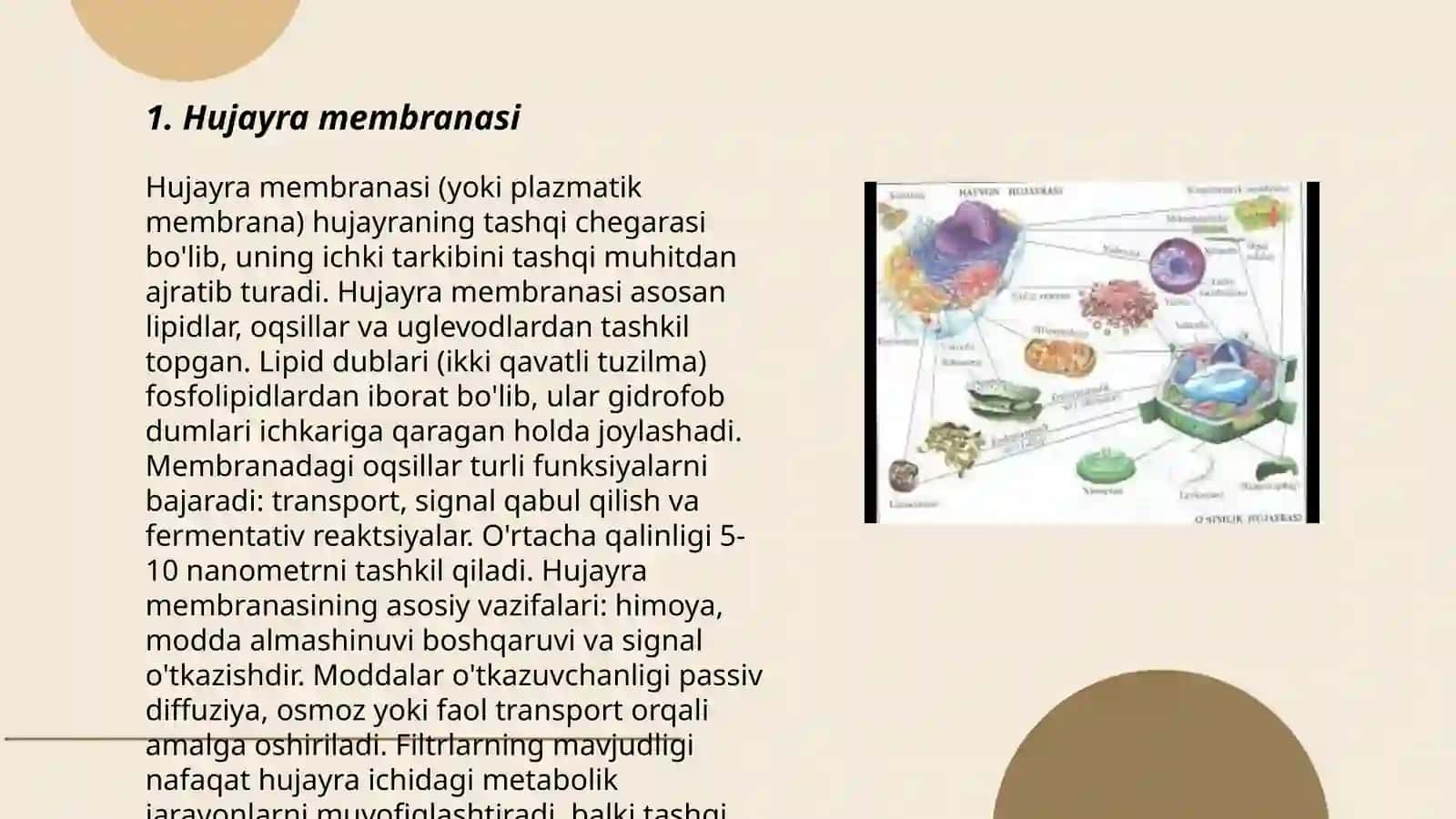 Sitologiya - hujayra haqidagi fan 3
