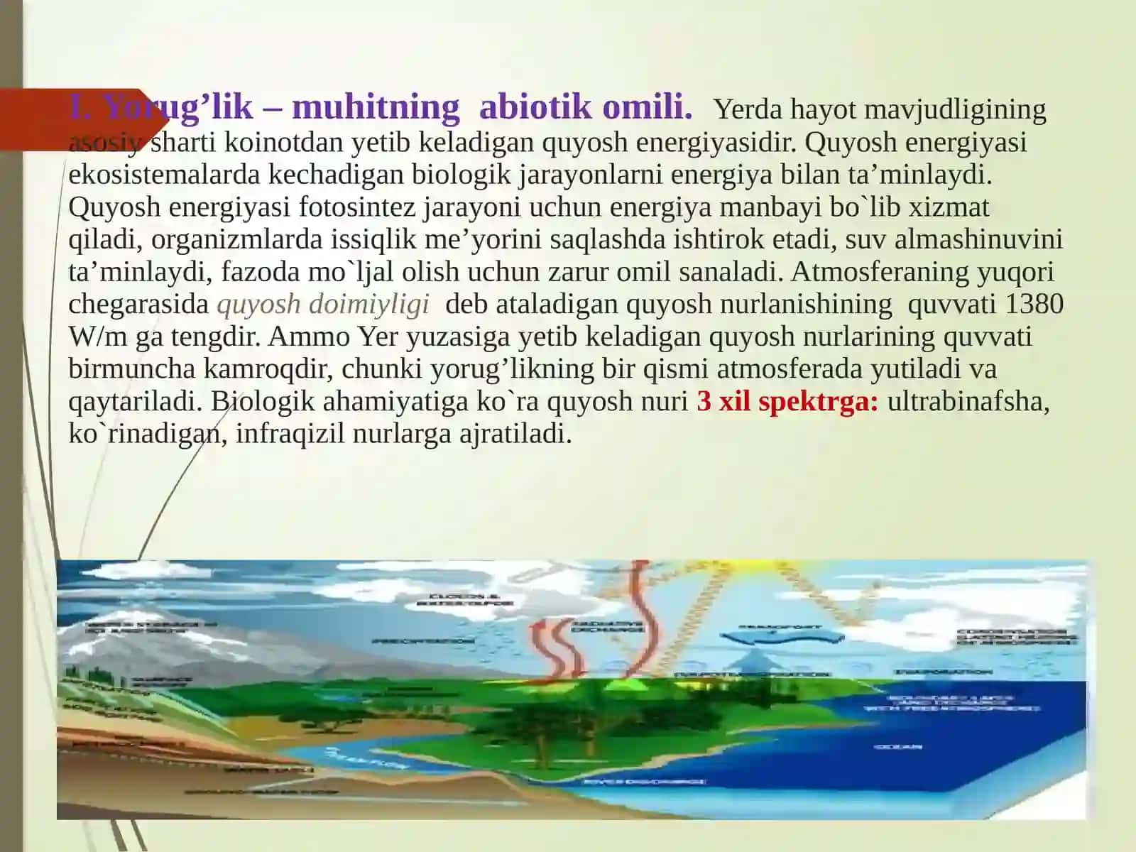 Abiotik omillar. Yorug’likning tirik organizmlar hayotidagi ahamiyati 3