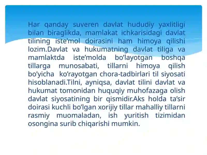 Davlat tili haqida qonun 3