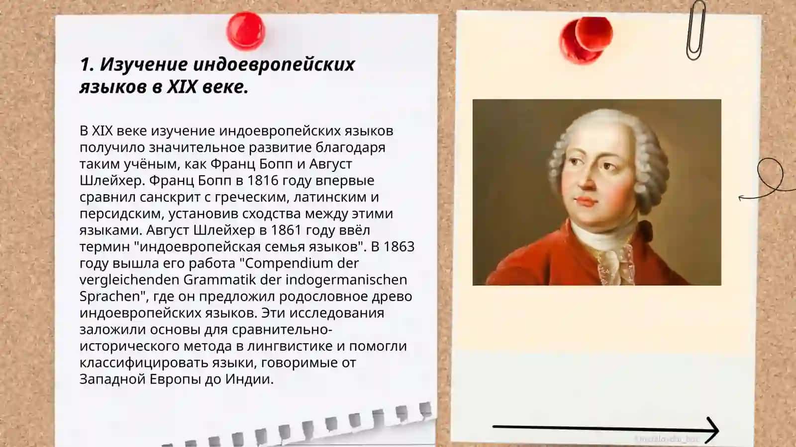 Возникновение сравнительно-исторического языкознания в XIX веке 3