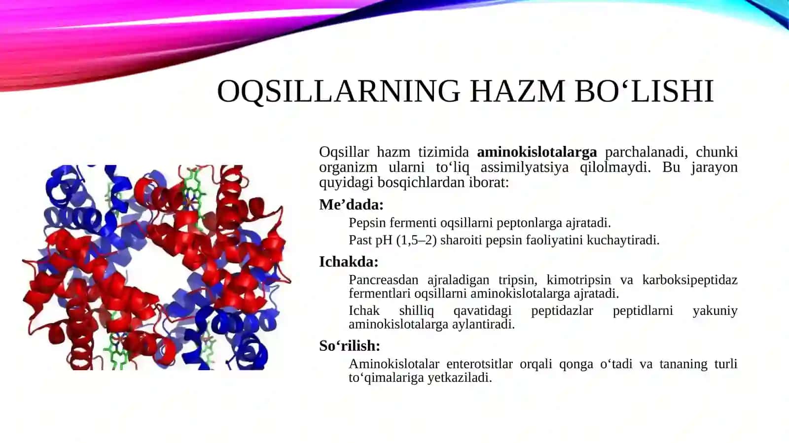 Odam organizmida oqsillarning biokimyoviy o‘zgarishi 3