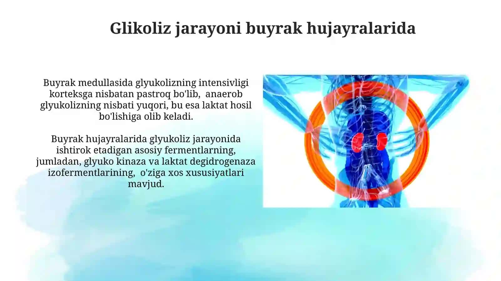Buyraklarni energiya bilan taminlashning asosiy yo'llari 3