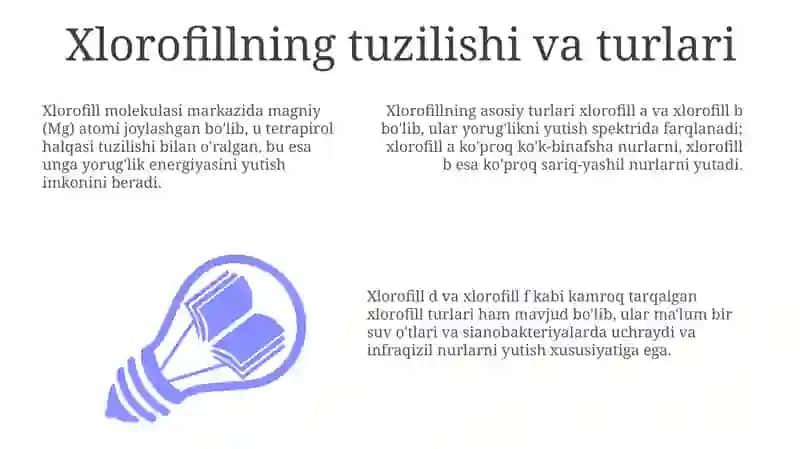 Oʻsimliklar hayotida xlorofilning ahamiyati 3