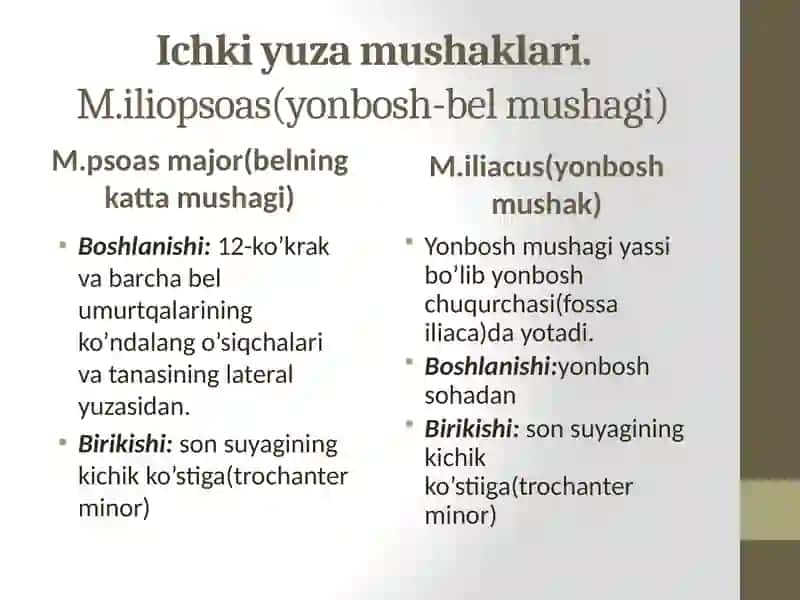 Chanoq va son mushaklari. Boldir va oyoq panja mushaklari. Oyoqning sinovial qinlari. Oyoq sohasining klinik va topografik anatomiyasi. 3
