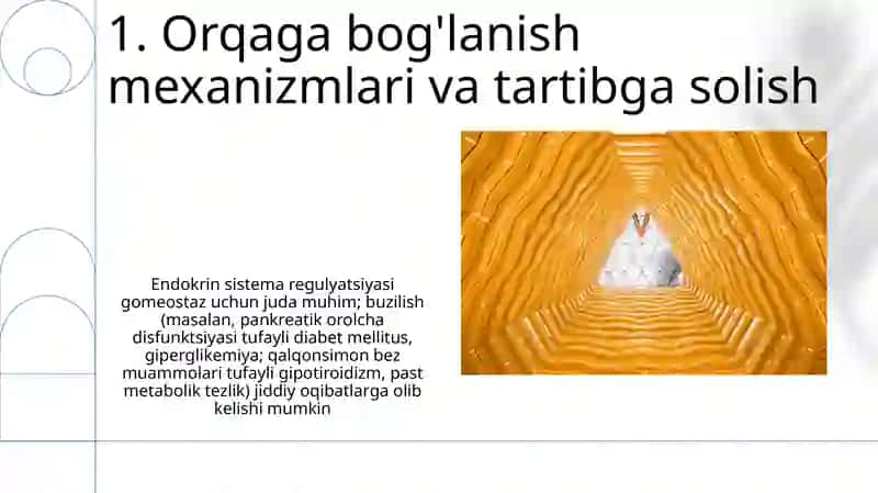 Ichki sekretsiya bezlarining tuzilishi va ahamiyati 3