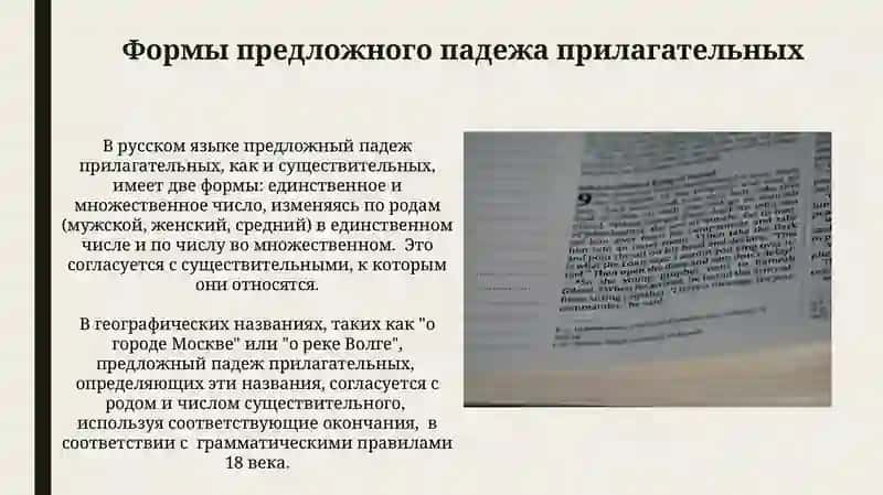 Формы предложного падежа имен существительных 3