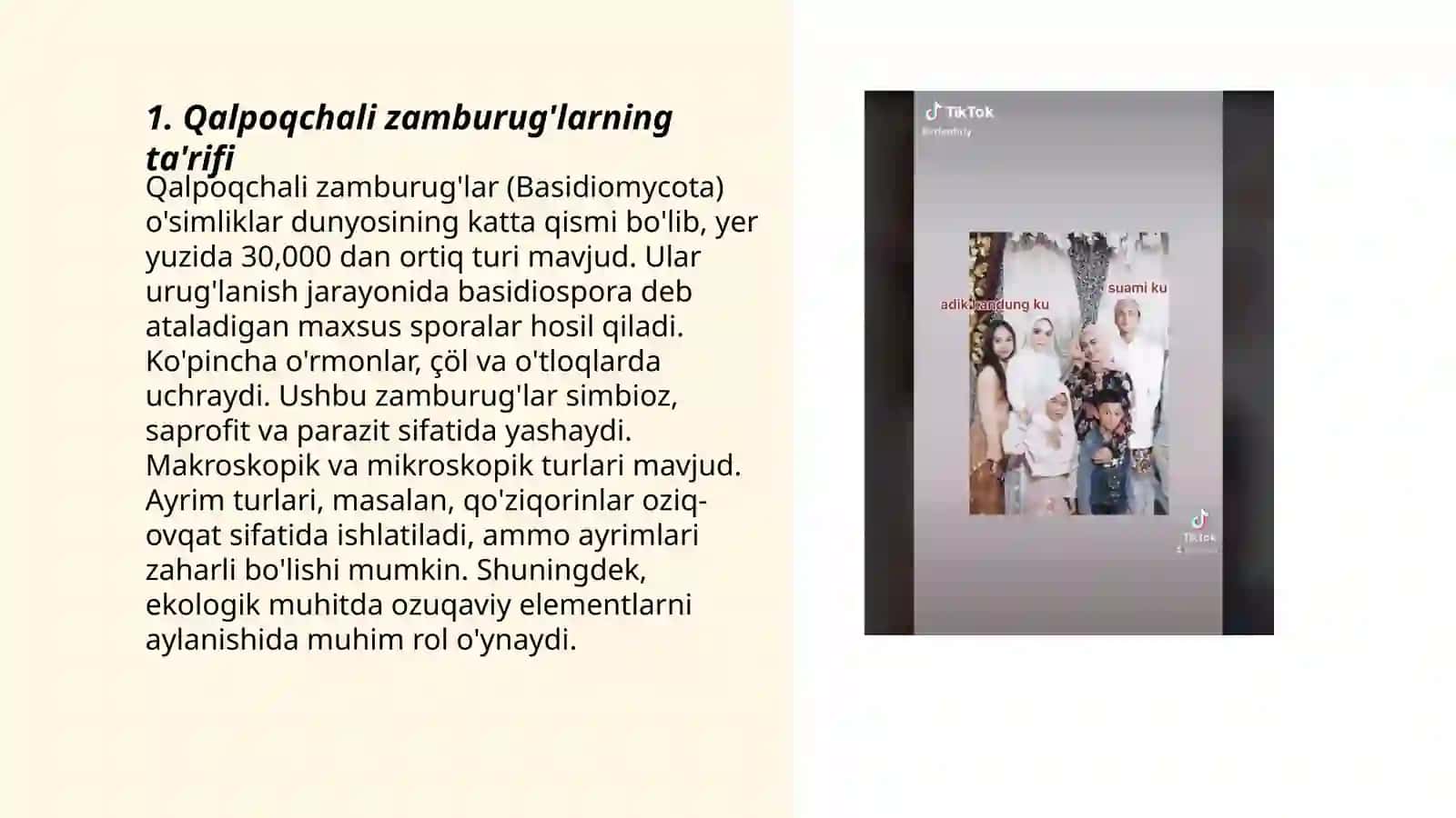Qalpoqchali va po’kak zamburug`lar 3