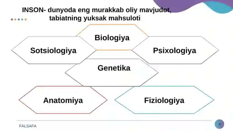 Insоnfalsafasi (Falsafiyantropologiya) 3