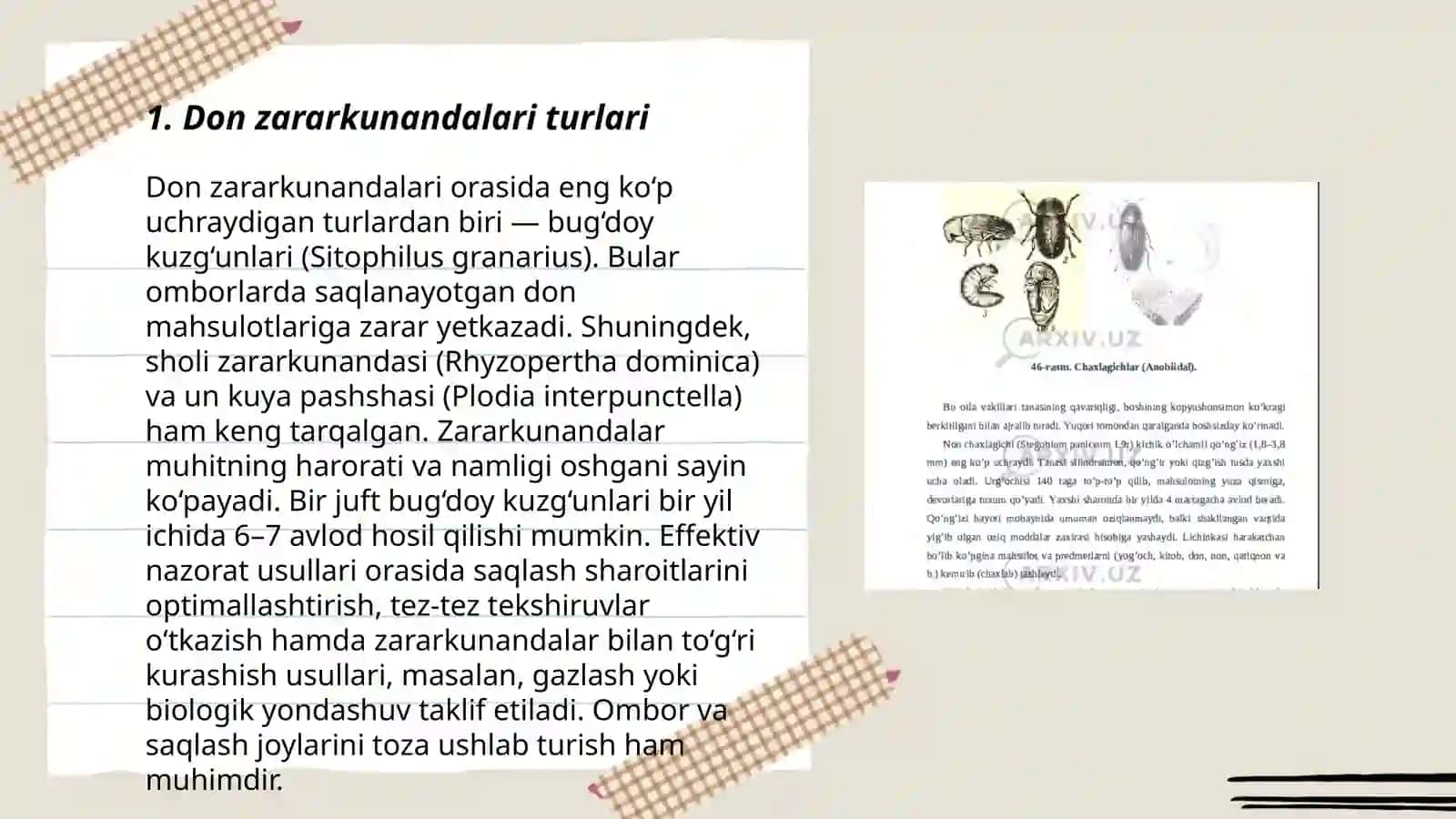 Don zararkunandalari va ularga qarshi kurashish 3
