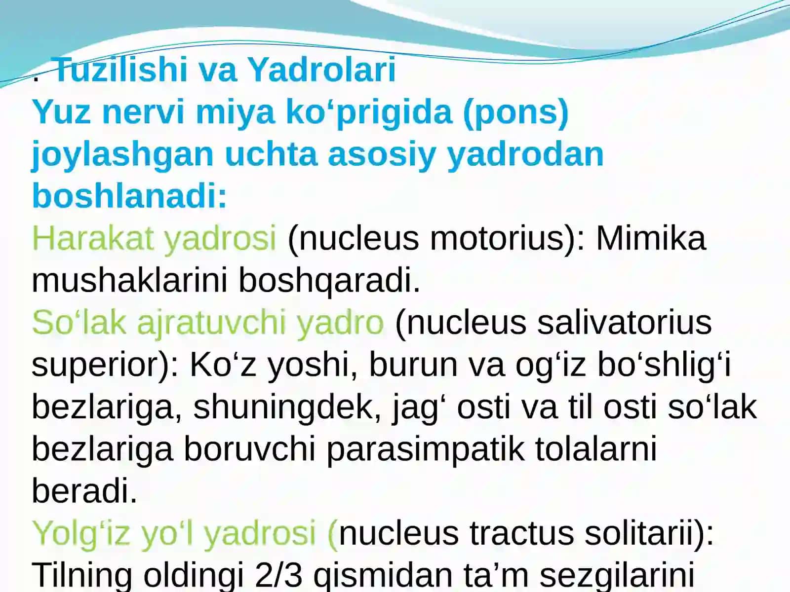 Yuz nervi anatomiyasi va kasalliklari 3