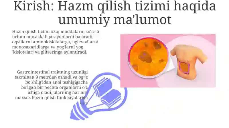Ovqathazmqilishtizimi.Ingichkavayo’g’onichakgistalogiyasi 3
