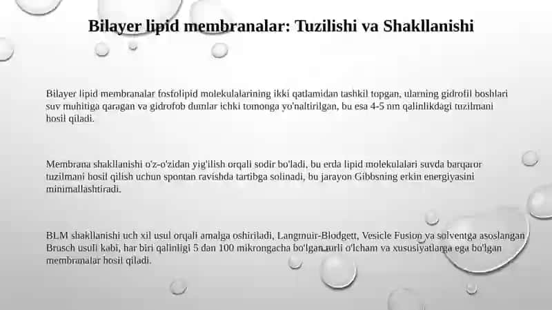 Ikki qavatli lipid membranalar 3