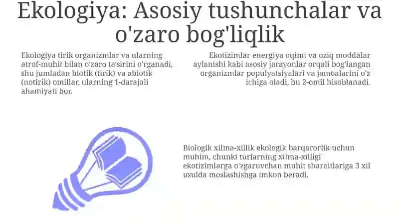 Borliq antalogiya va rivojlanish falsafasi 3