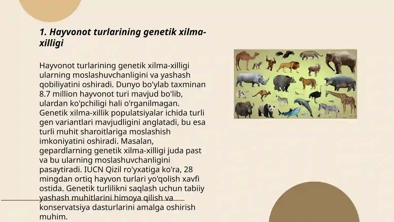 Hayvonot olamining xilma-xilligi 3