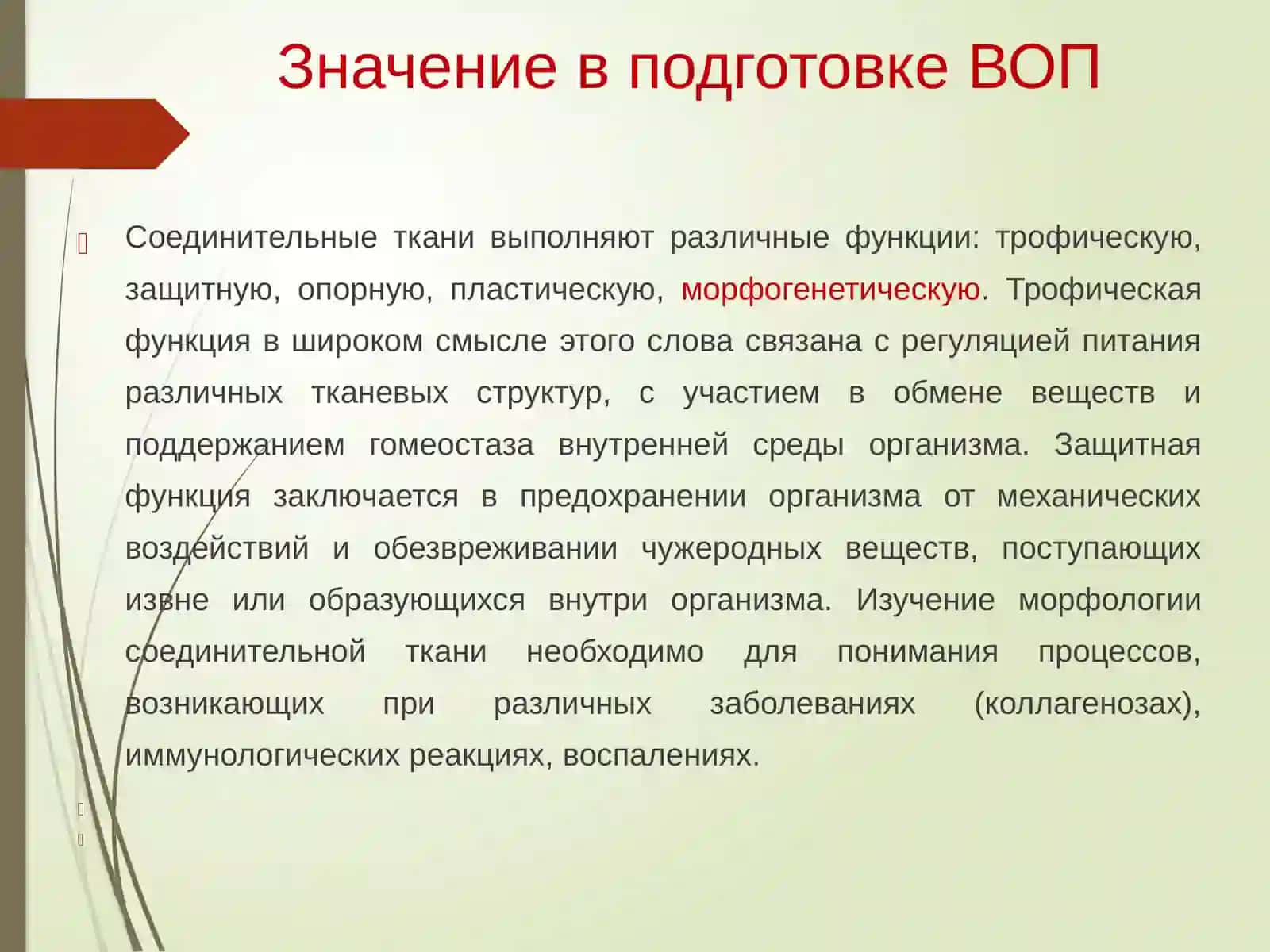 Соединительная ткань. Хрящевая и костная ткань 3