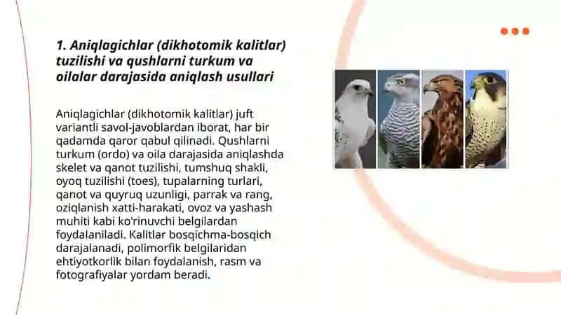 Aniqlagichlar yordamida qushlarni turkum va oilalarini darajalarini aniqlash 3