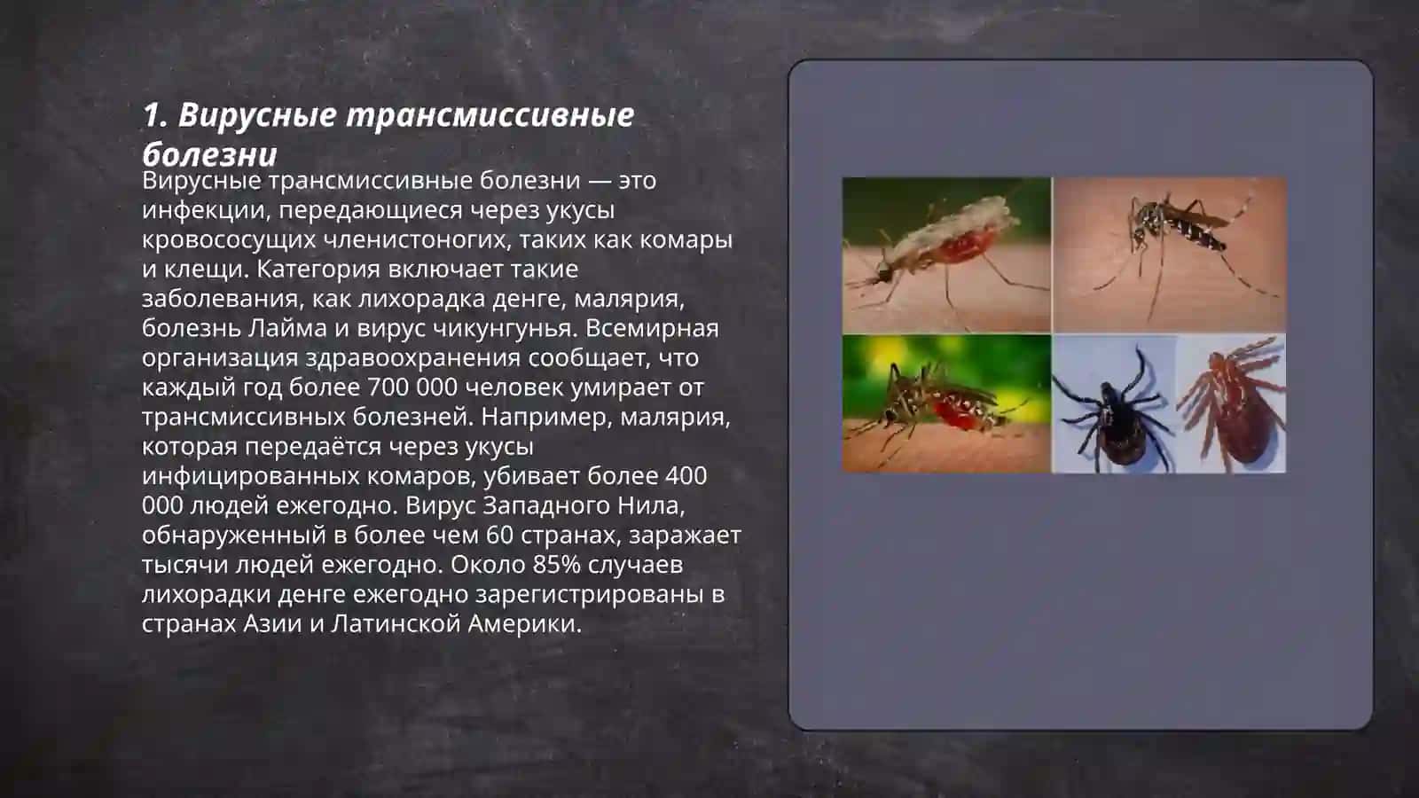Вирусные трансмиссивные болезни 3