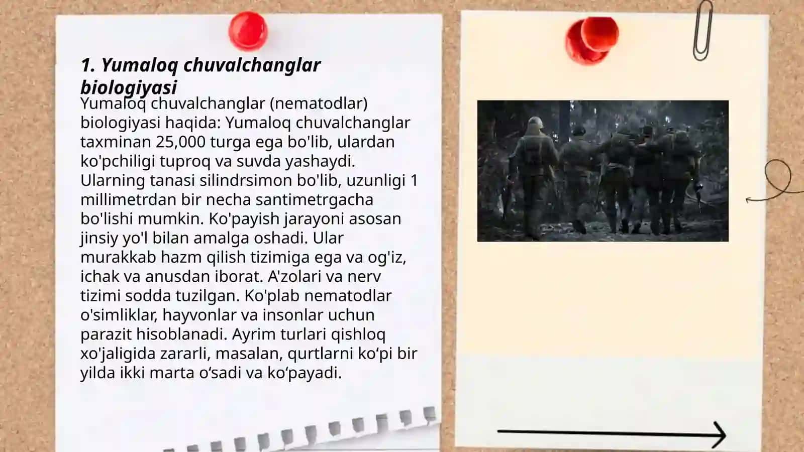 Yumaloq chuvalchanglar biologiyasi 3
