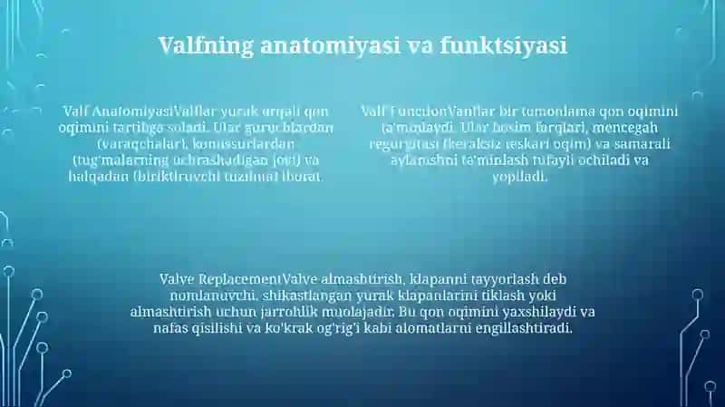 Klapanni Tayyorlash 3