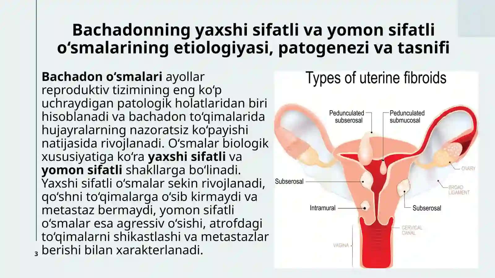 Bachadonning yaxshi sifatli va yomon sifatli o‘smalari 3