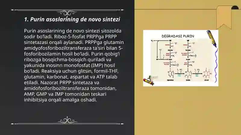 Purin va pirimidin asoslari almashinuvi 3