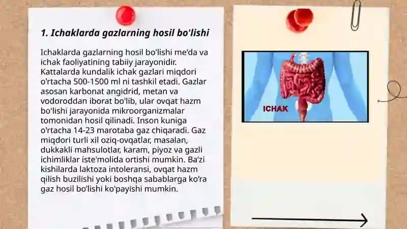 Ichaklarda gazlarning yiğilishi, ich qotishi - koprostaz 3