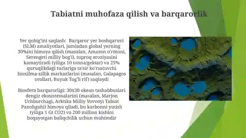 Litosfera va biosfera 3