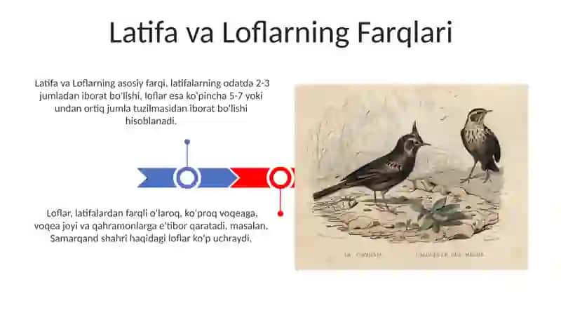 Latifa va loflarning qiyosiy talqini 3