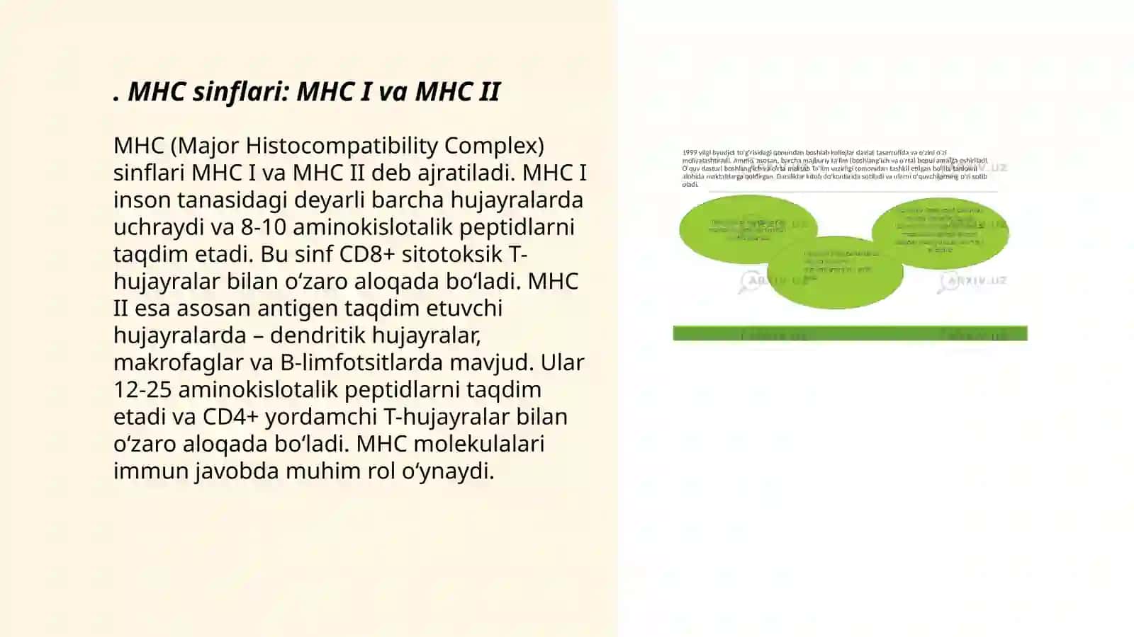 HLA-tizimi(MHC-tizimi).Komplement tizimi 3