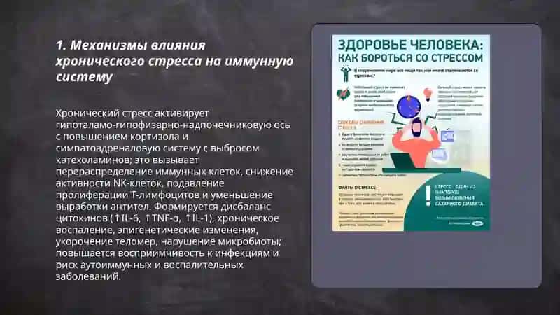 Стресс-причина всех балезной 3